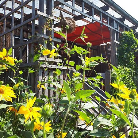 Holzhaus Mit Gruener Aussicht Zum Erholen Βίλα Burgheim Εξωτερικό φωτογραφία
