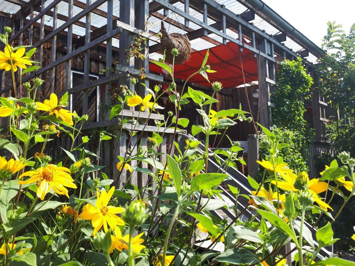 Holzhaus Mit Gruener Aussicht Zum Erholen Βίλα Burgheim Εξωτερικό φωτογραφία